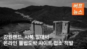 강원랜드, 사북 일대서 온라인 불법도박 사이트·업소 적발